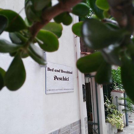 B&B Peschici Rooms Εξωτερικό φωτογραφία